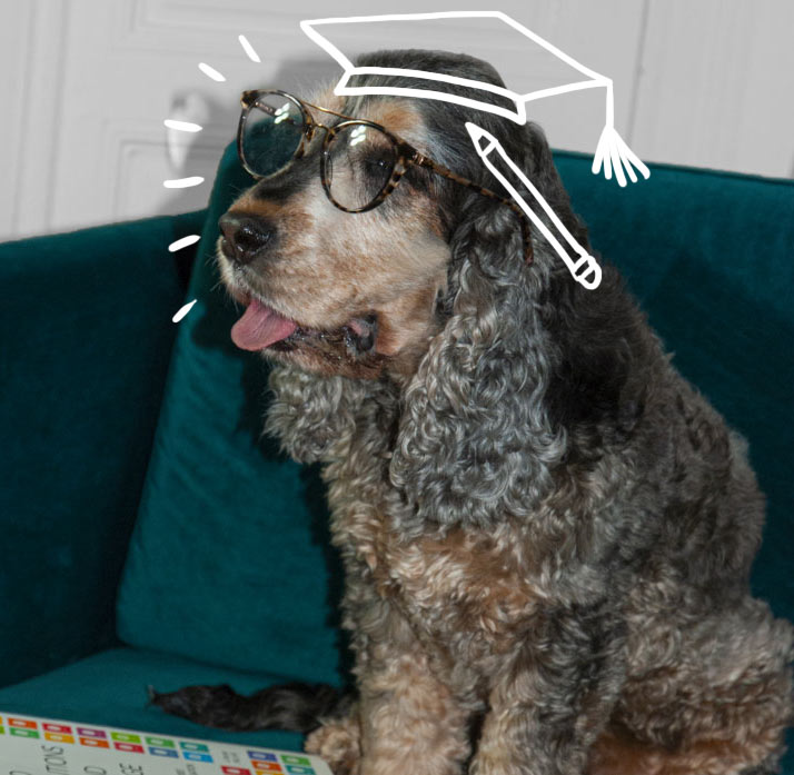 J'ai votre solution : Harrod's mascotte