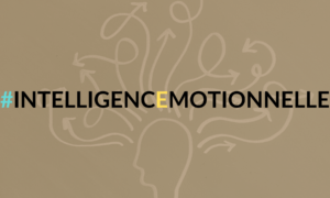Optimiser sa communication et son efficacité professionnelle grâce à l'intelligence émotionnelle