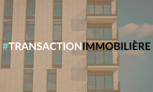 Maîtriser le cadre juridique et patrimonial de la transaction immobilière